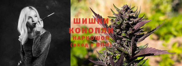 стаф Магадан