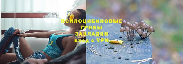 трава Домодедово
