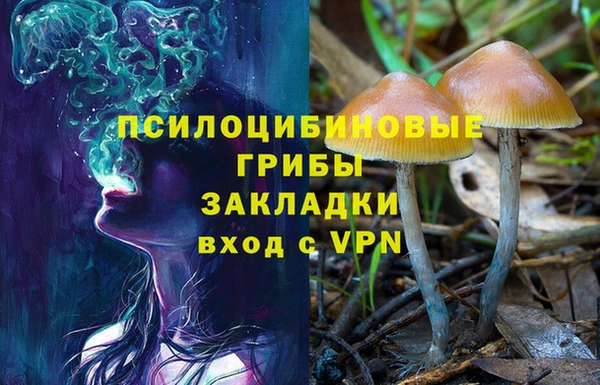 трава Домодедово